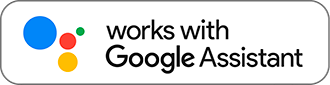 Work with Google Assistant